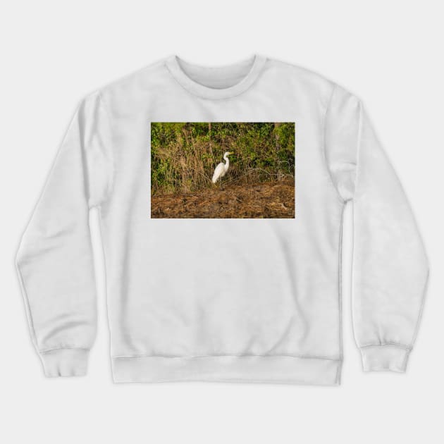 Great white heron in Shallotte Crewneck Sweatshirt by KensLensDesigns